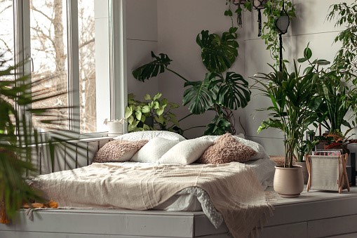Zimmer mit vielen Zimmerpflanzen