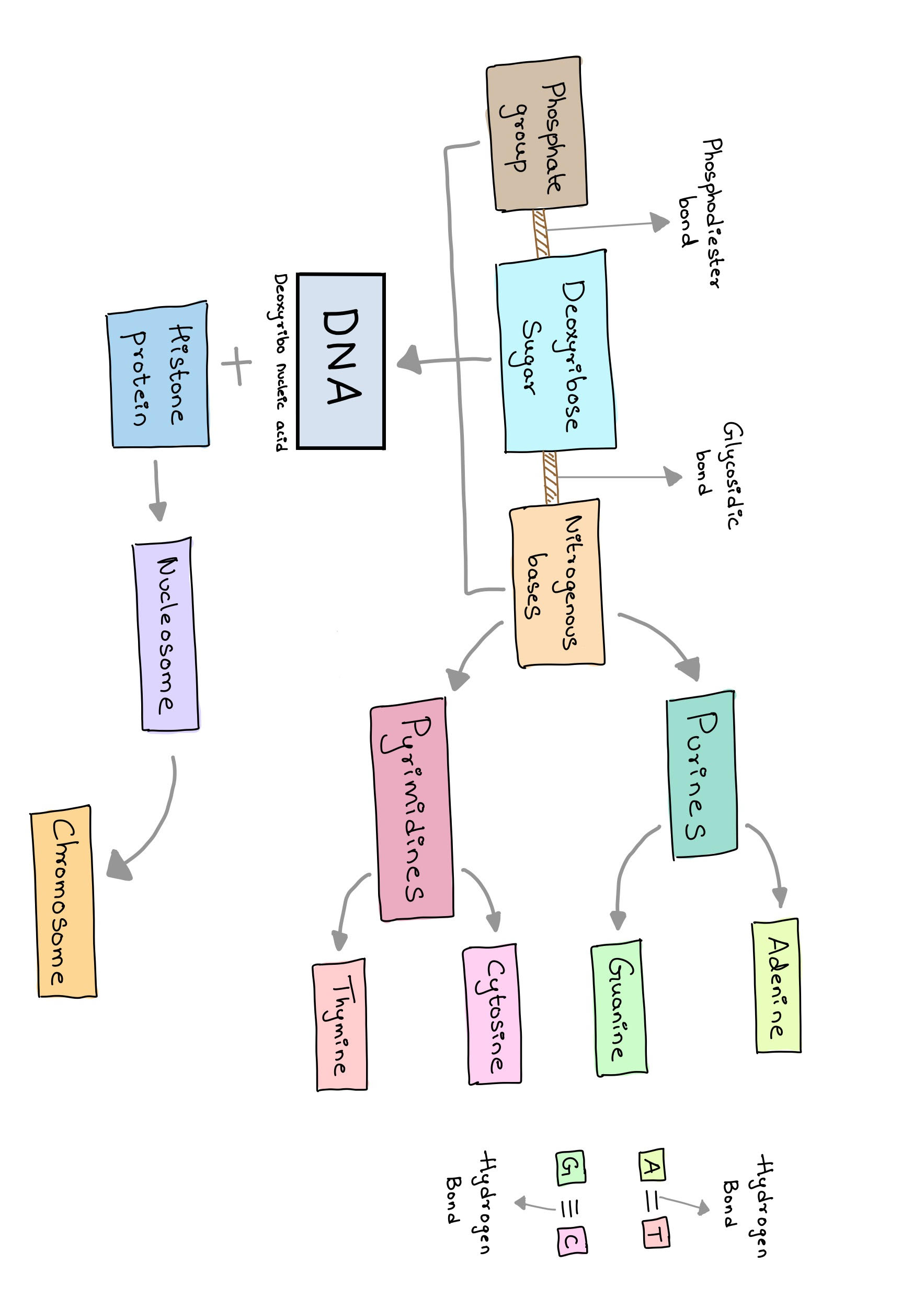 Figure 11 - Mind map