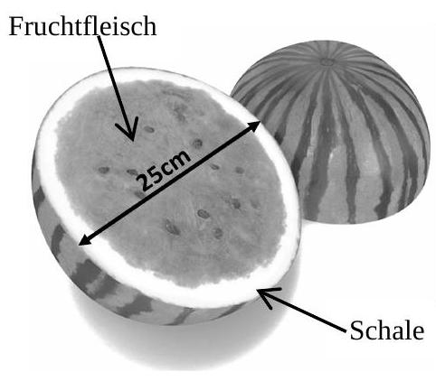Abbildung 1: aufgeschnittene Wassermelone