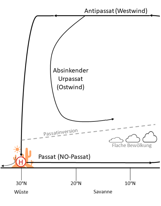 Abb. 3: Passatwinde. Ausschnitt aus Abb. 1.