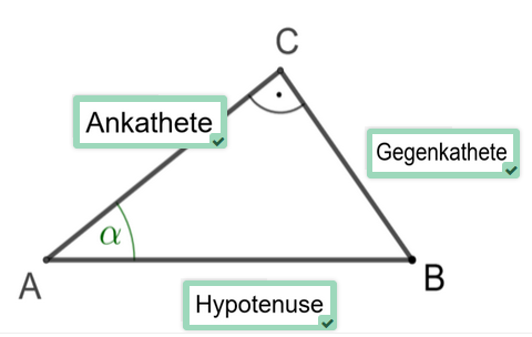 Richtige Zuordnung