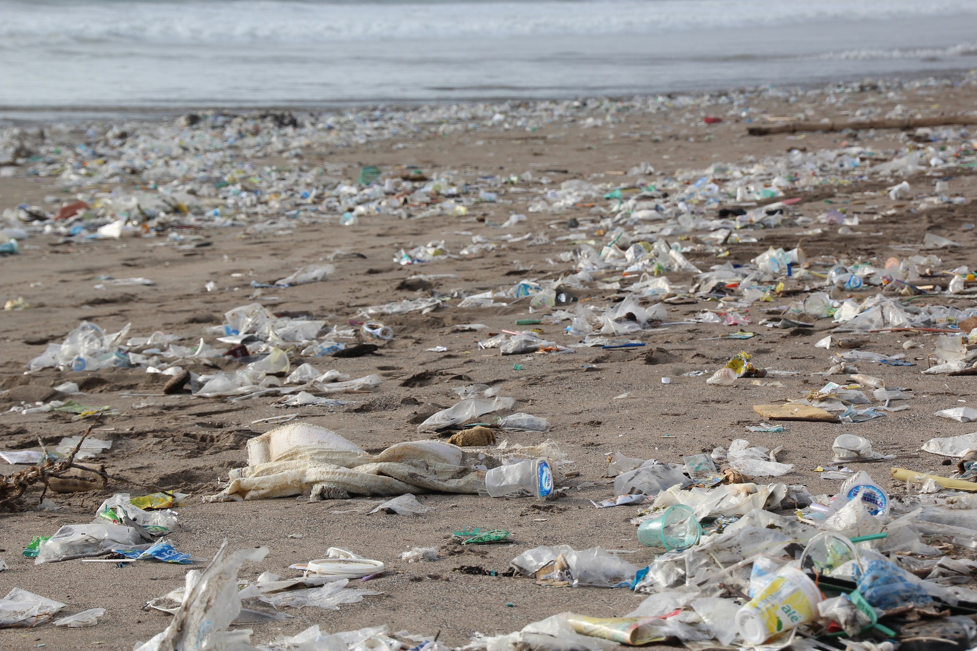 Abb. 6: Plastikmüll am Strand