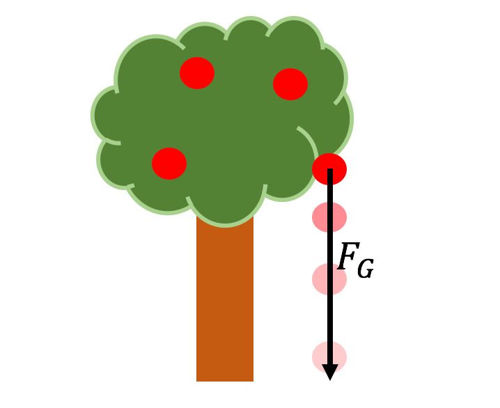 Apfel Fällt Vom Baum Physik