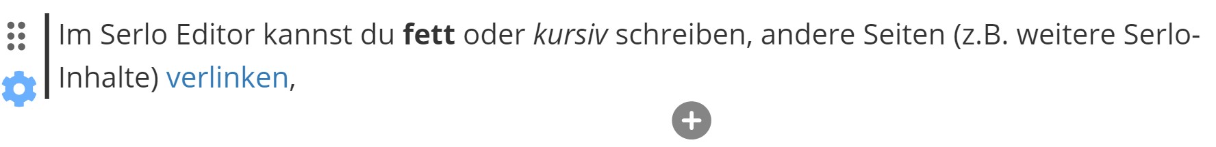 Optionen Serlo Editor