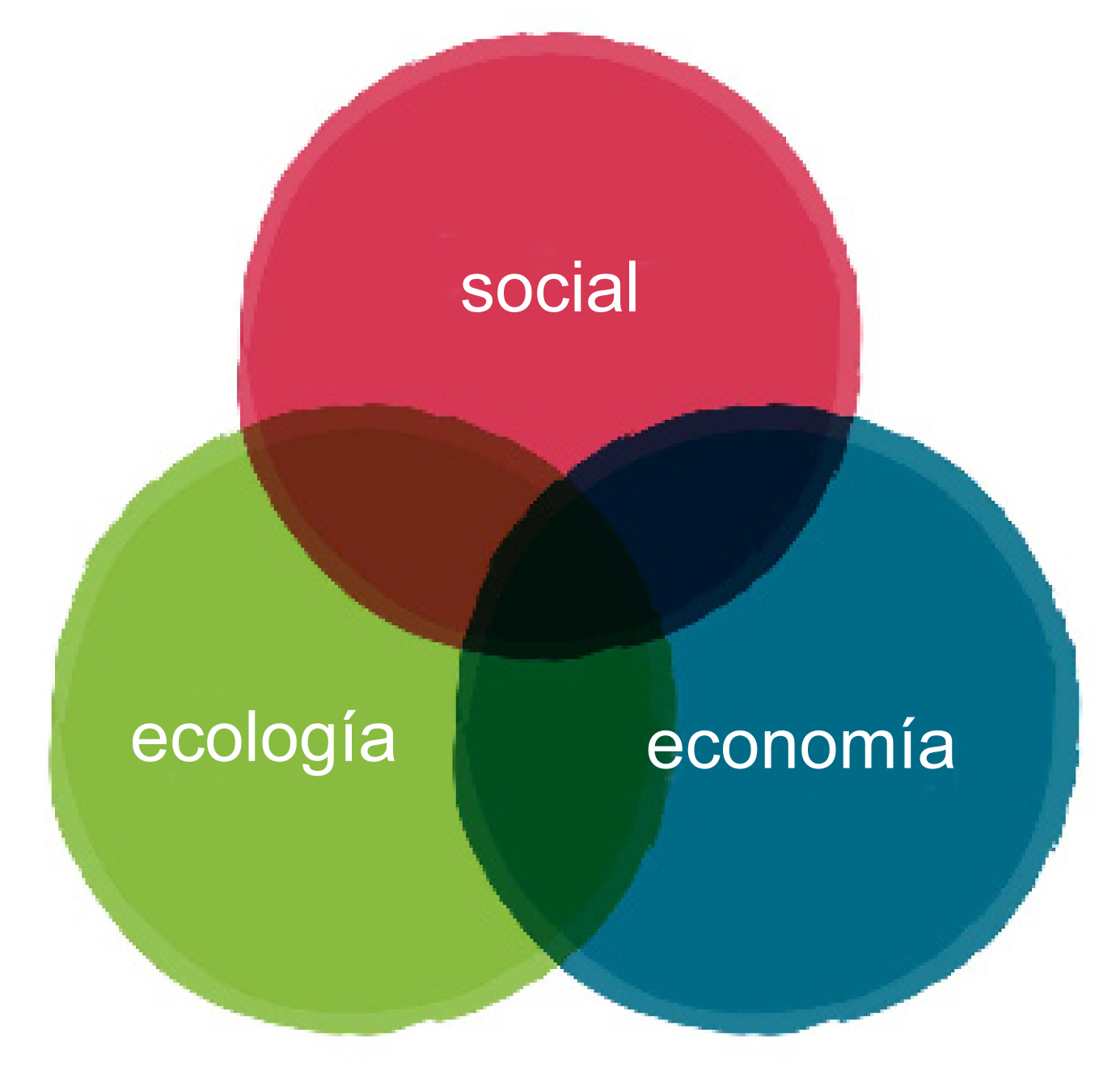 Las tres esferas de la sostenibilidad