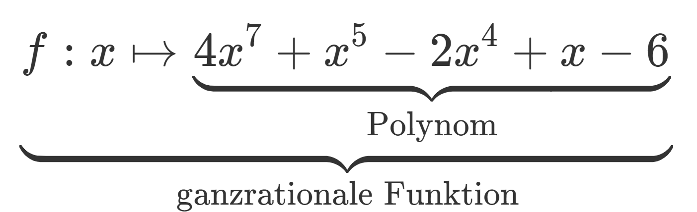 Polynom - ¡Aprende Con Serlo!