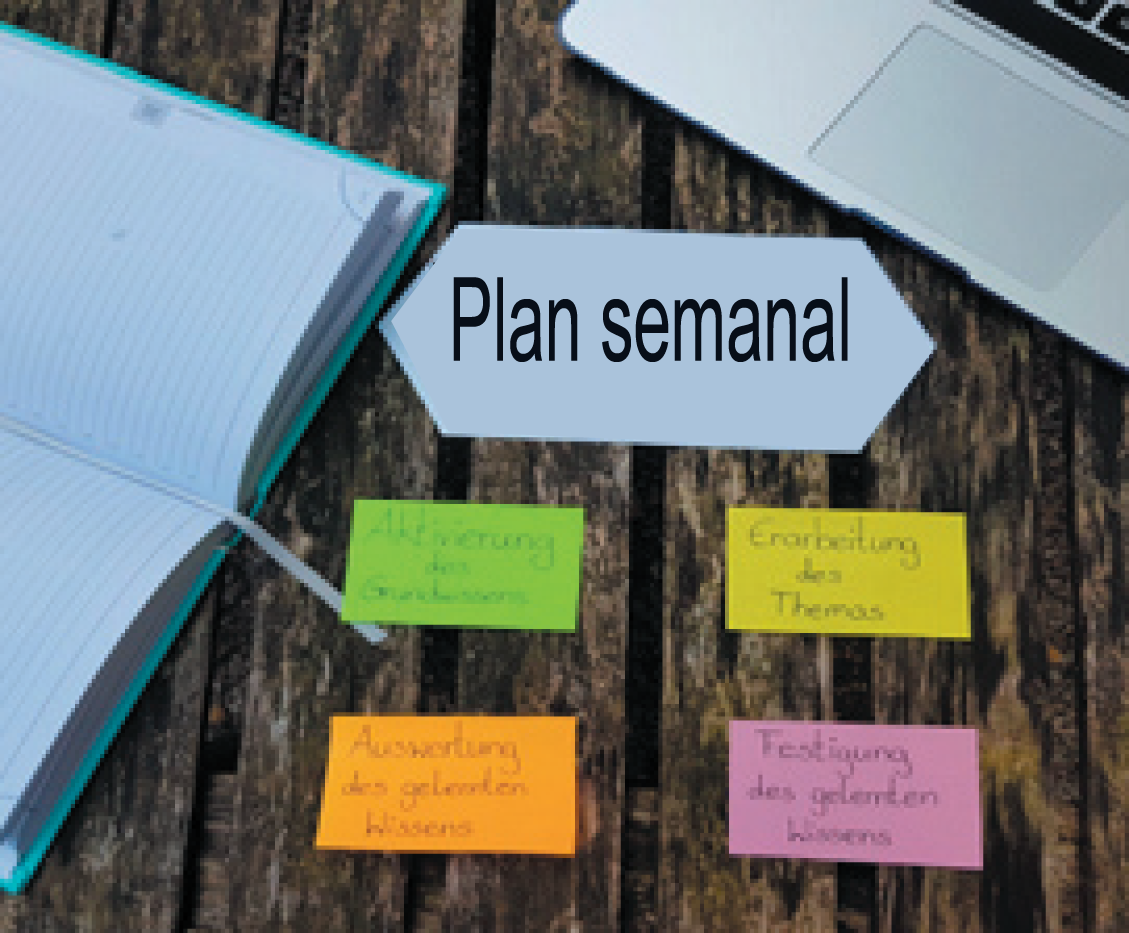 Plan semanal