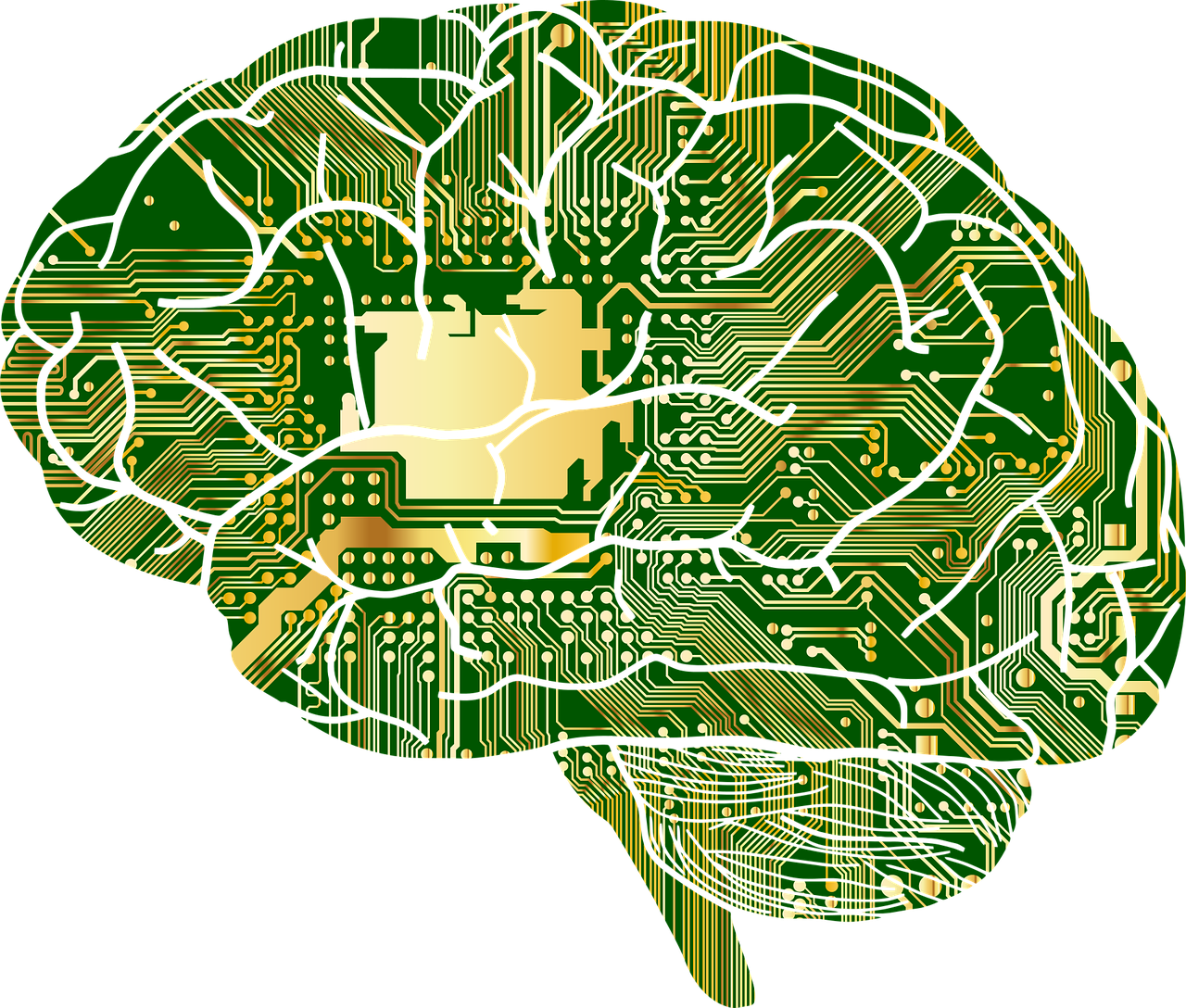 Gehirn mit Mikrochips von https://pixabay.com/de/vectors/anatomie-biologie-gehirn-gedanken-1751201/