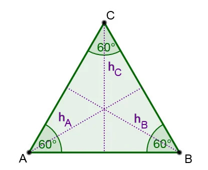 Triángulo en general y triángulos especiales
