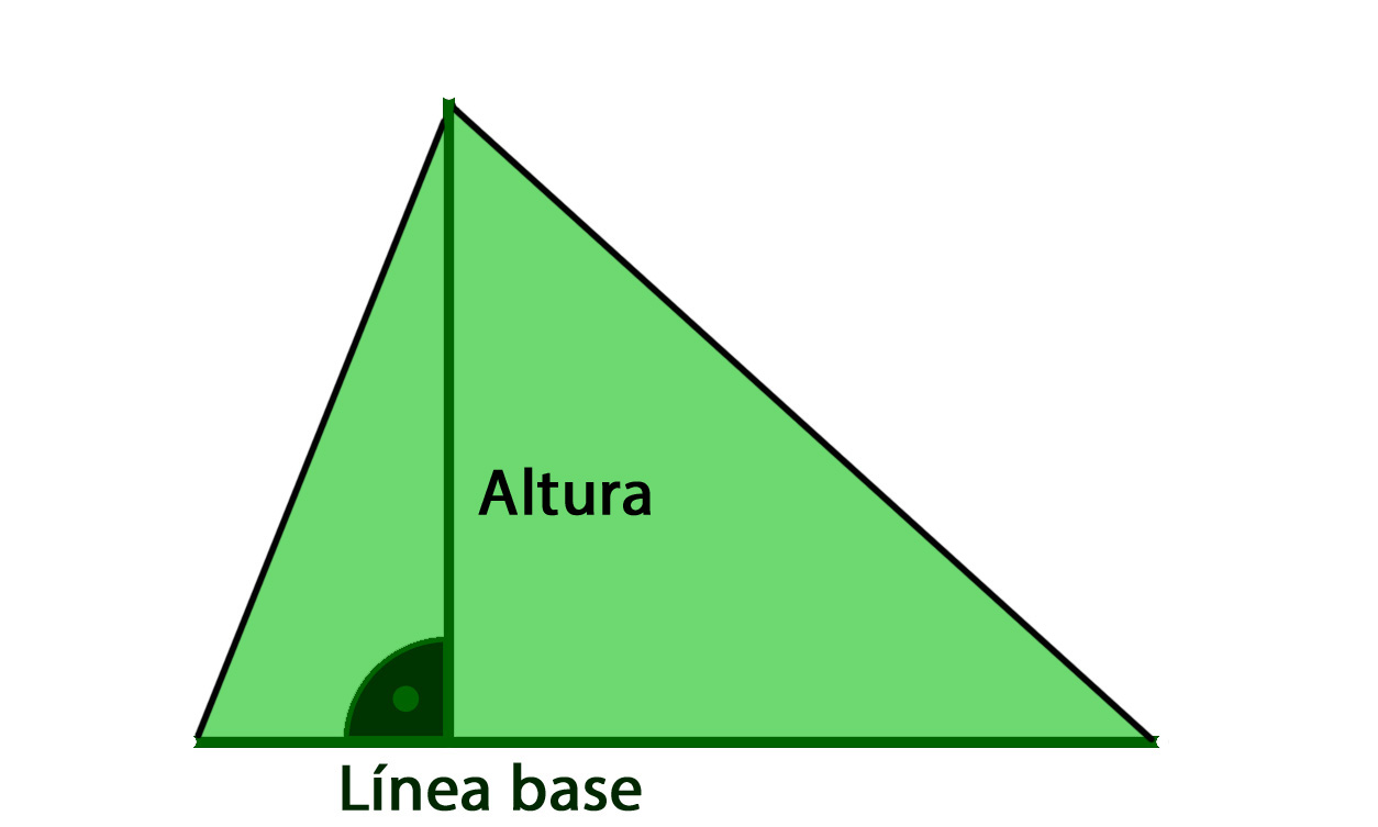 Línea de altura y línea base de un triángulo