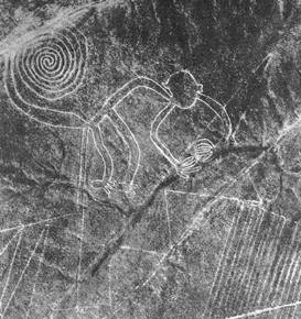 Mono de Nazca