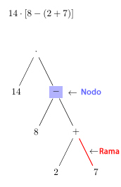 Elementos para estructura términos