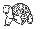 Tortuga