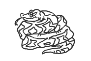 Serpiente