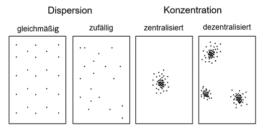 Grundformen Bevölkerungsverteilung. Eigene Darstellung nach Boustedt (1975).