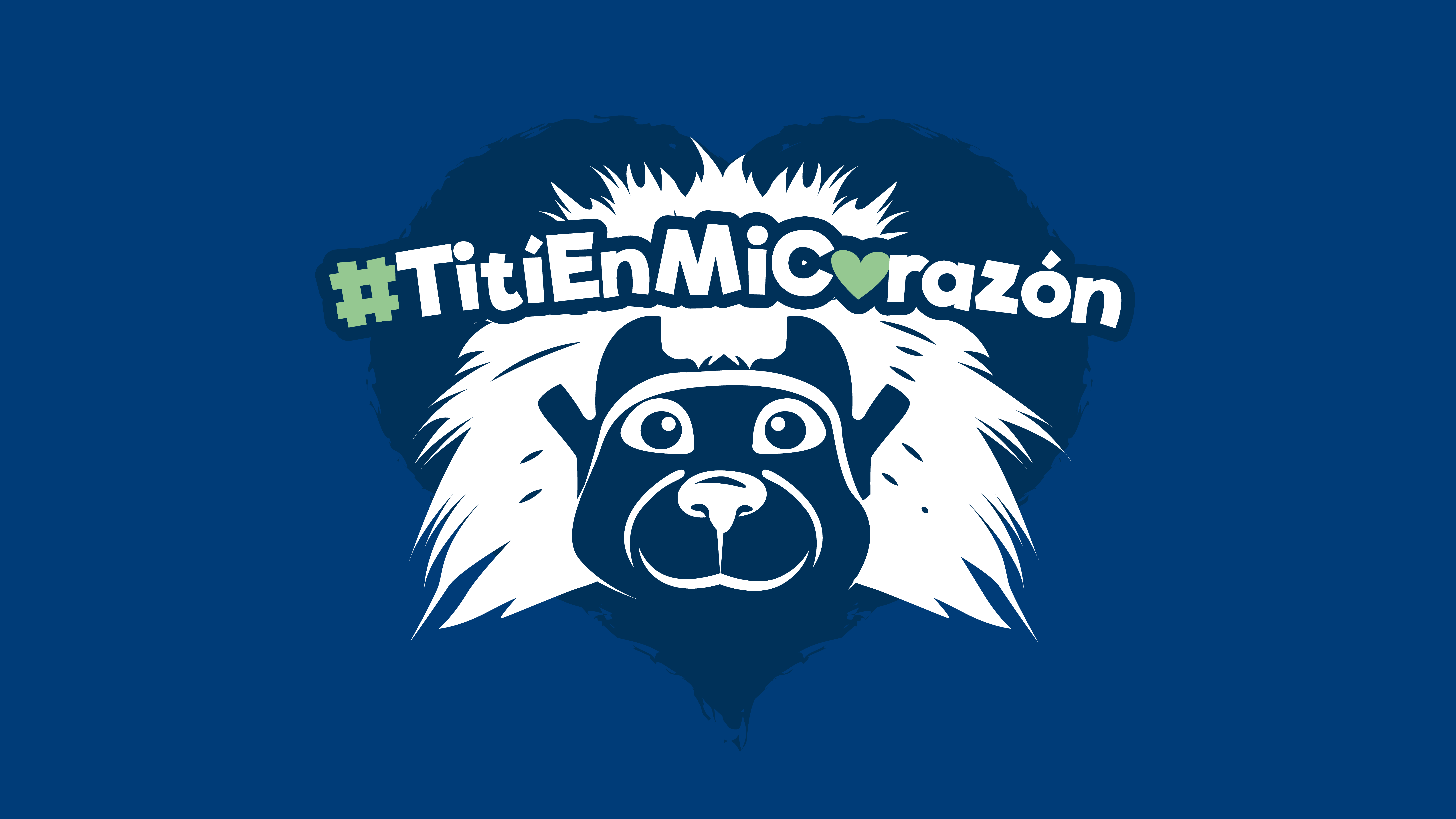 Llevemos al Tití cabeciblanco en nuestro corazón. Autor: Fundación Proyecto Tití