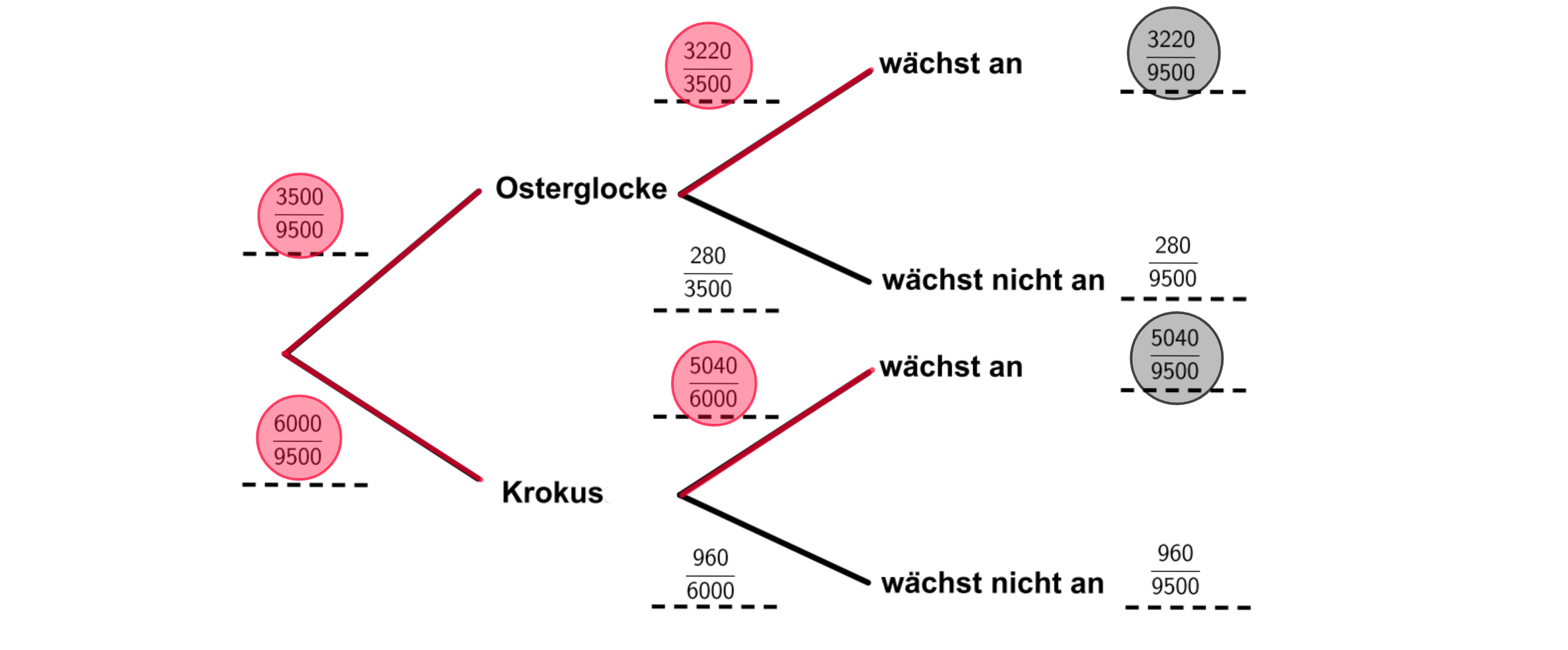 Das Baumdiagramm braucht nicht gezeichnet zu werden.