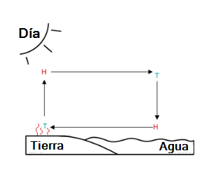 Gráfica 1 - Brisas marinas, de Nadine_Gabel