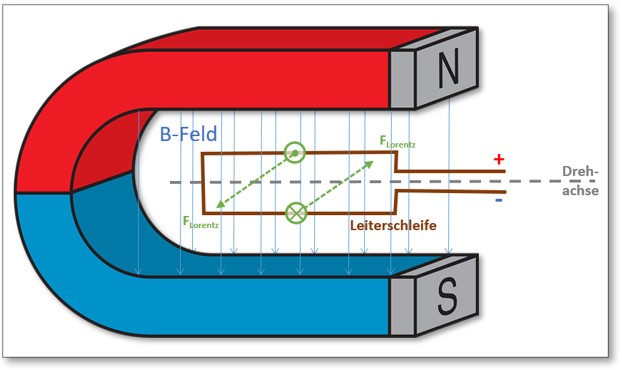 Abb. 7: Stromdurchflossene beweglich gelagerte Leiterschleife im Magnetfeld