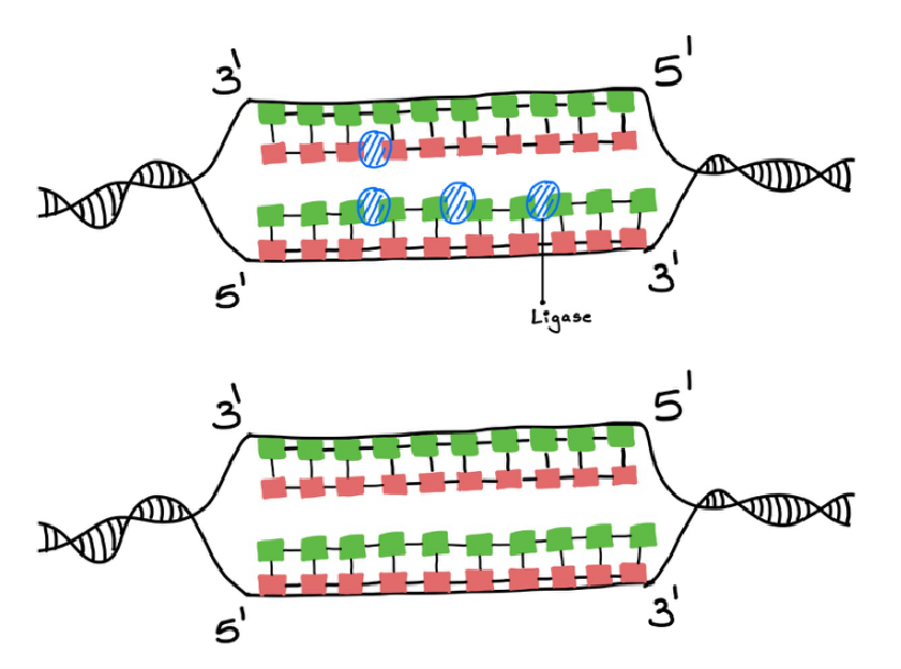 Figure 13