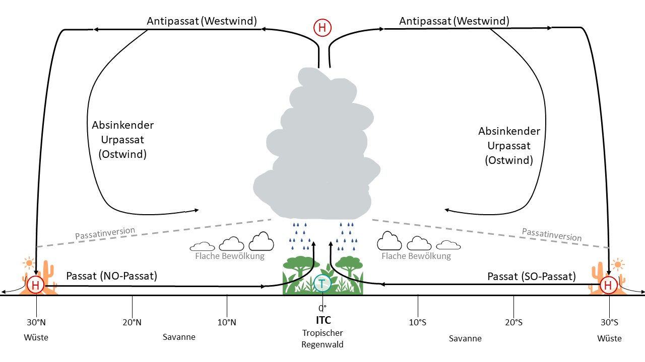 Abb. 1: Der Passatkreislauf. Quelle: Eigene Abbildung nach Hepp, K./ Lamberty, M./ Sickinger, K. (2017): Geographie Baden-Württemberg. Abitur-Training, Hallbergmoos: Stark.