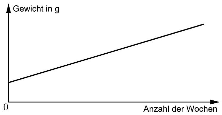 Abbildung 3: Graph zum Wachstum der Wassermelone
