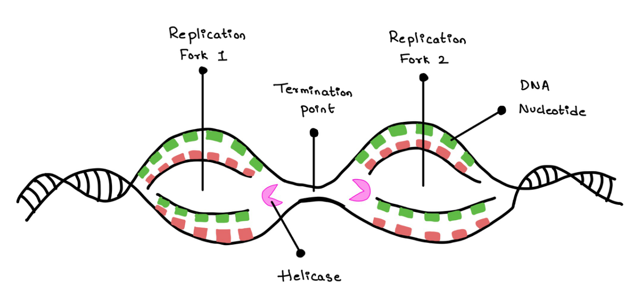 Figure 14