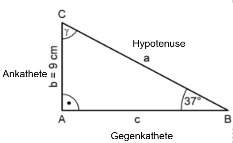 Skizze mit Seiten