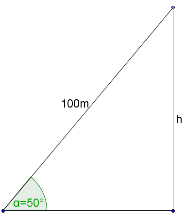 Skizze zur Aufgabe: rechtwinkliges Dreieck mit 50°-Winkel