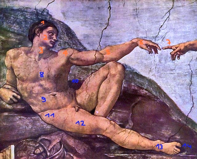 Michelangelo, Creación de Adám