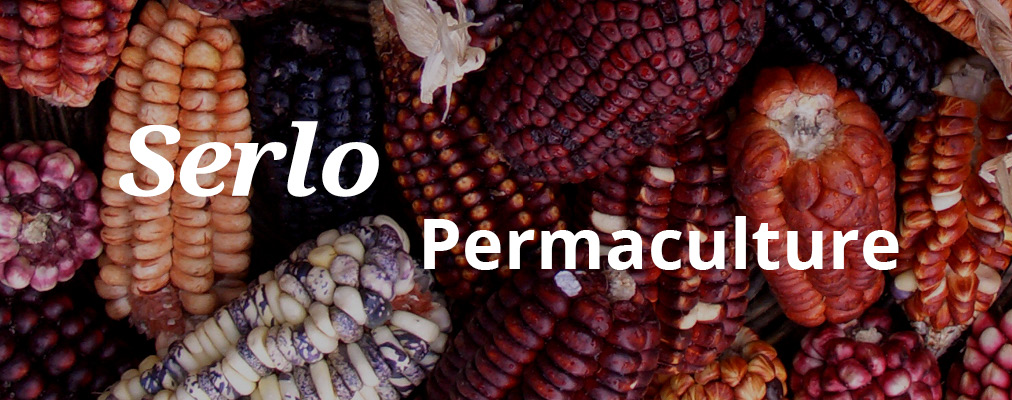 Serlo, open Permaculture education