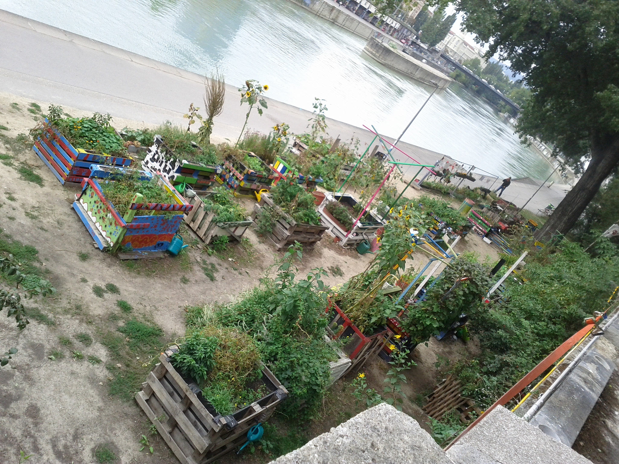 Abb.3: Gemeinschaftsgarten am Donaukanal
