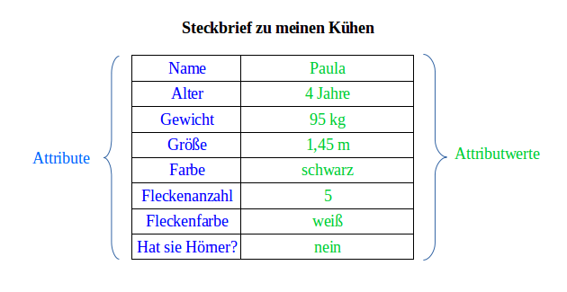 Objekte | Attribute und Attributwerte (Kurs) – lernen mit Serlo!