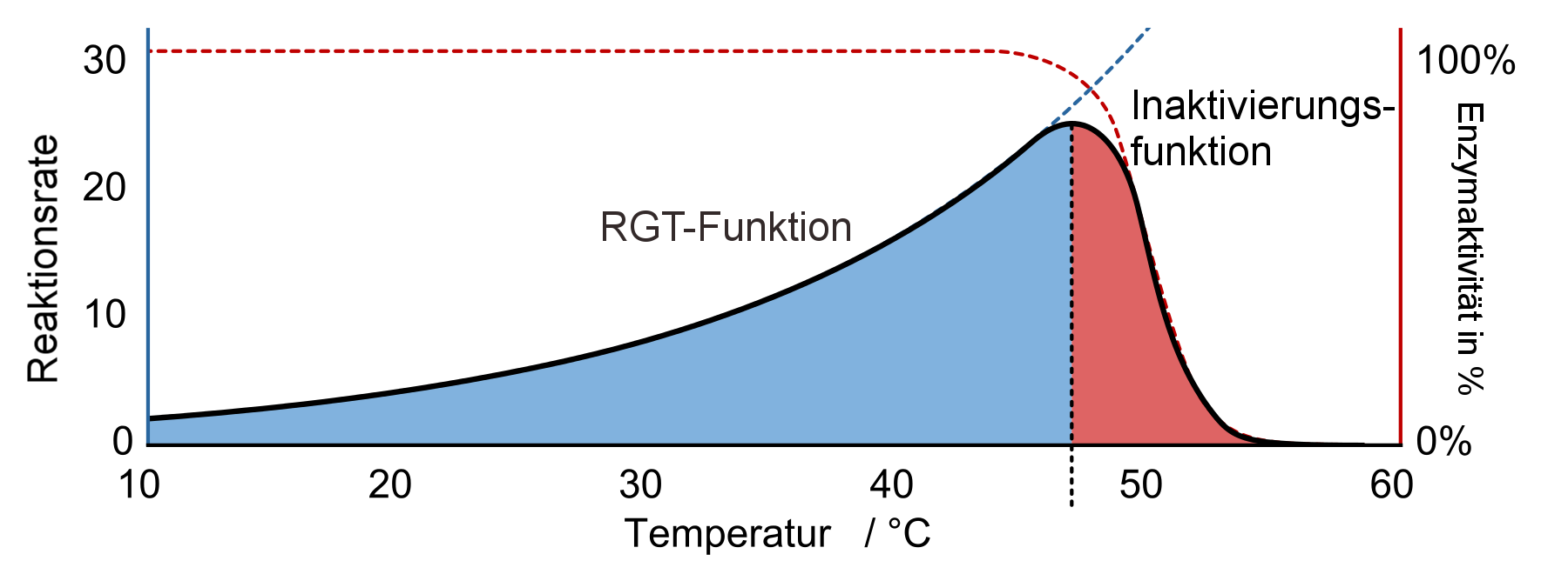 Abb.3: Temperaturabhängigkeit der Reaktionsrate und Enzymaktivität